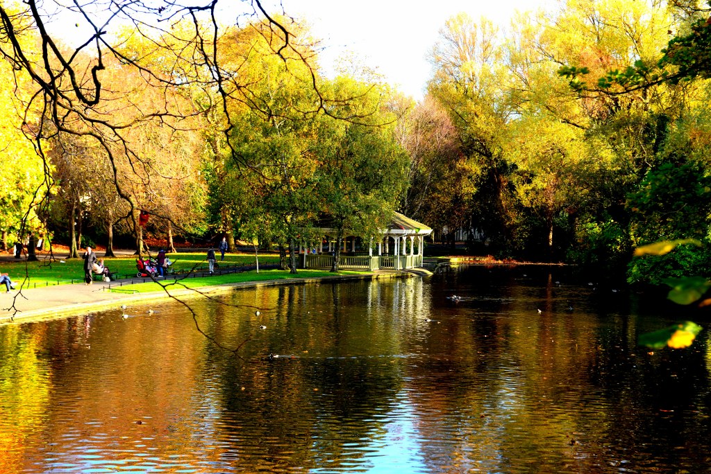 an_autumn_view_for_a_park_full_of_colorful_trees_amd_a_little_lake