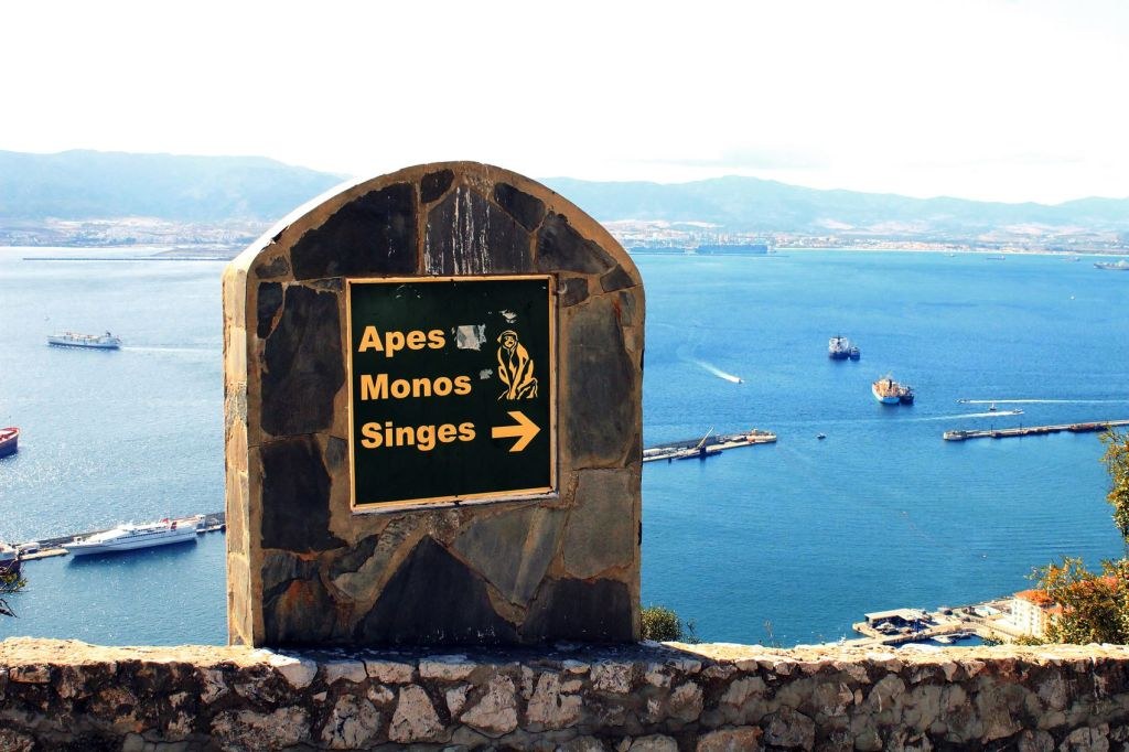 a_sign_in_a_rock_in_gibraltar