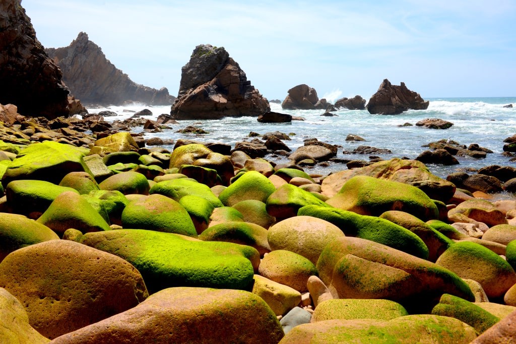 rocky_coast_covered_with_green_rocks