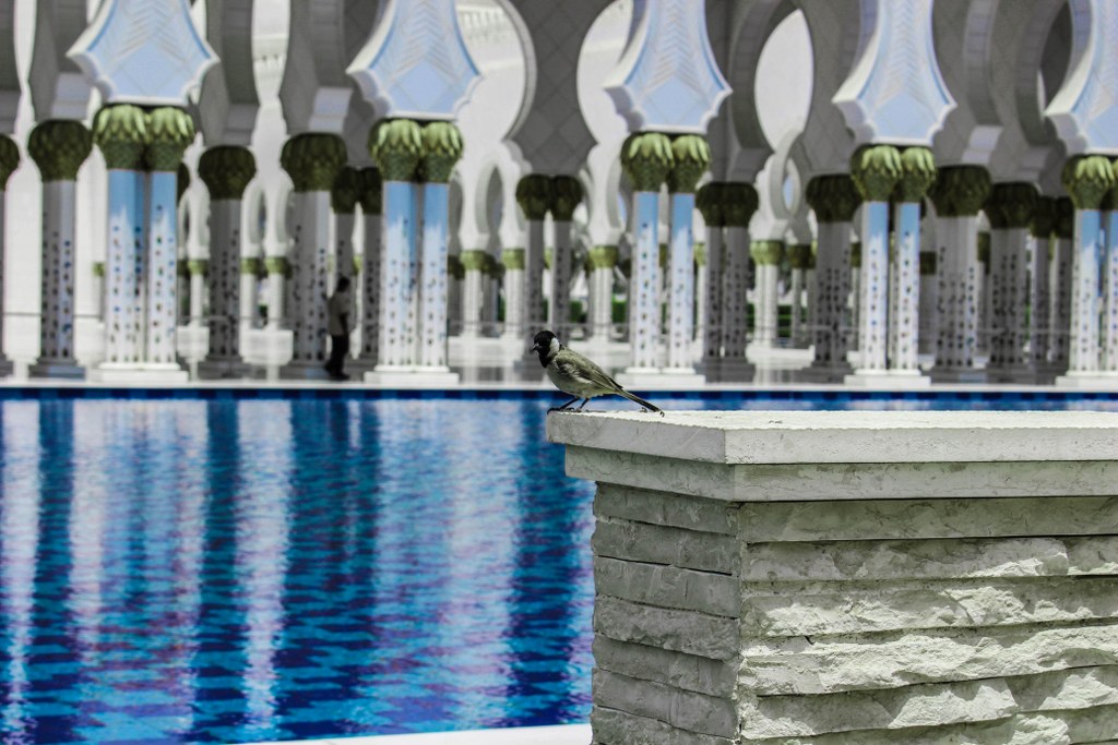 blue_water_inside_the_mosque_in_abu_dhabi