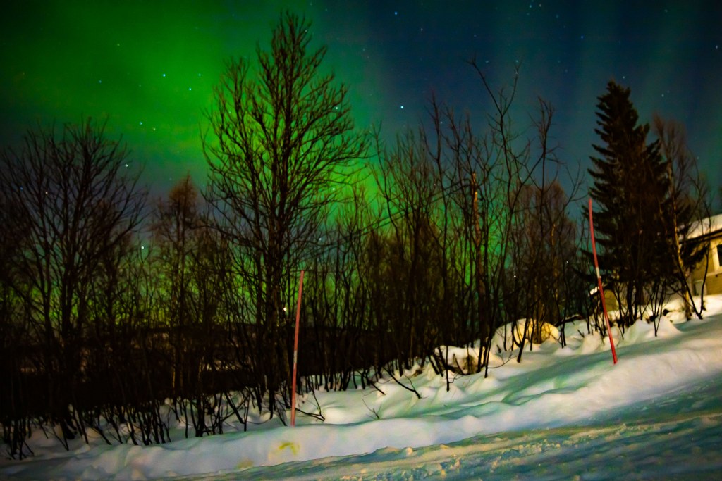 aurora_borealis_flooding_a_winter_sky_in_tromso