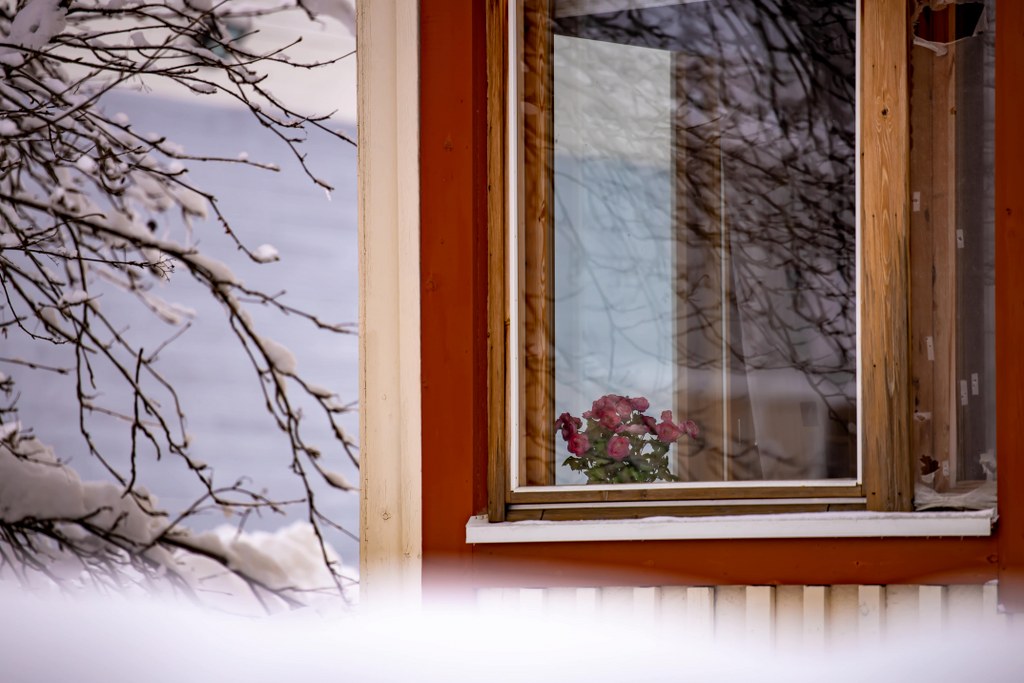 corner_window_with_flowers