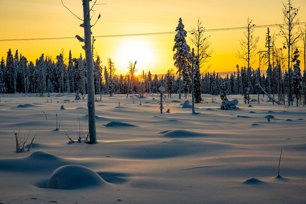 sunrise_in_finland_in_a_forrest