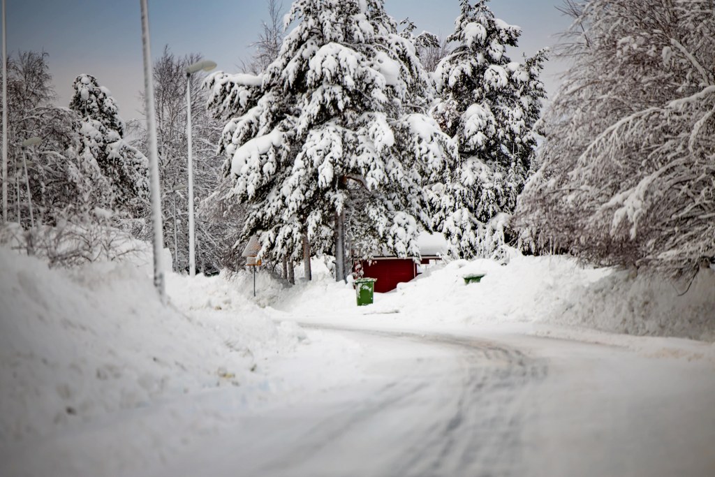 winter_landscape_in_finland