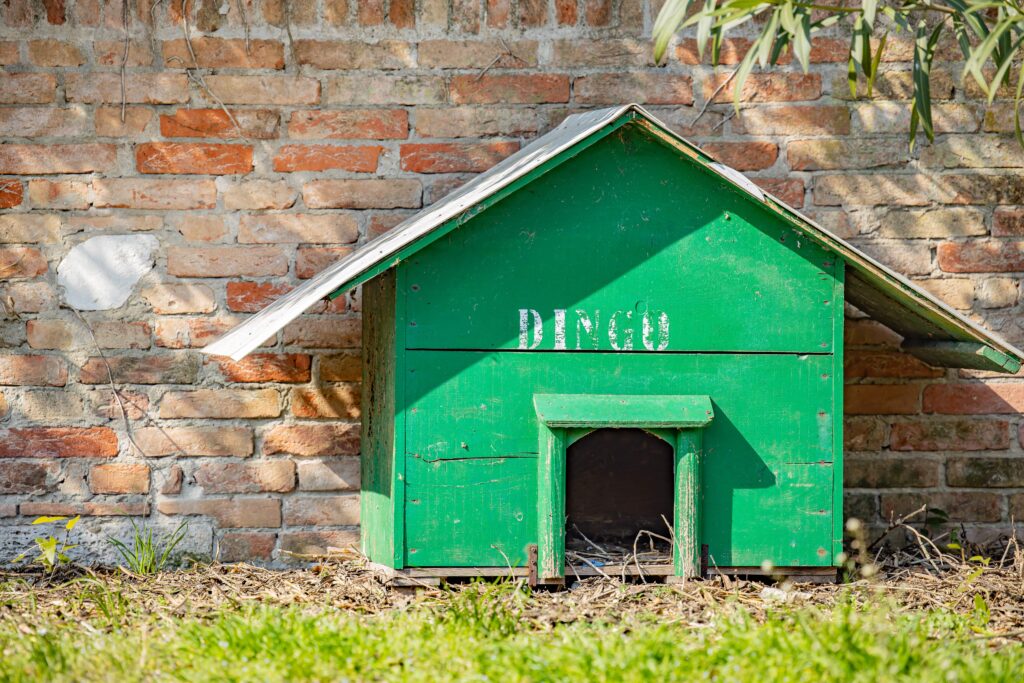 dogs_little_house