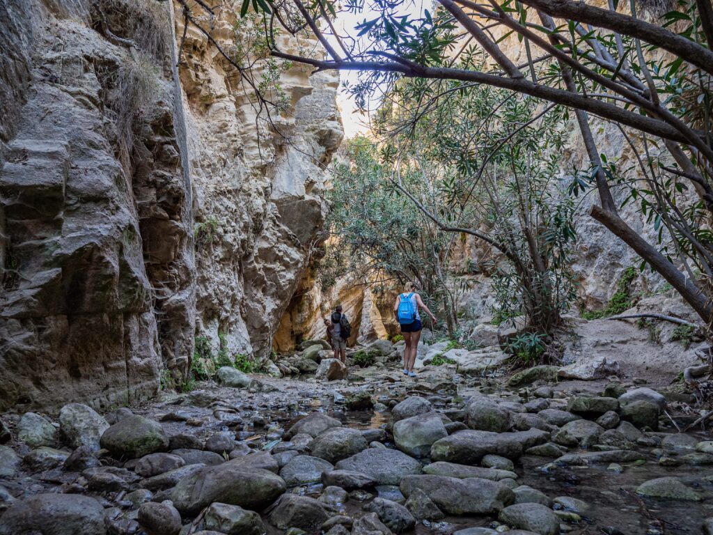 avakas_gorge_in_cyprus