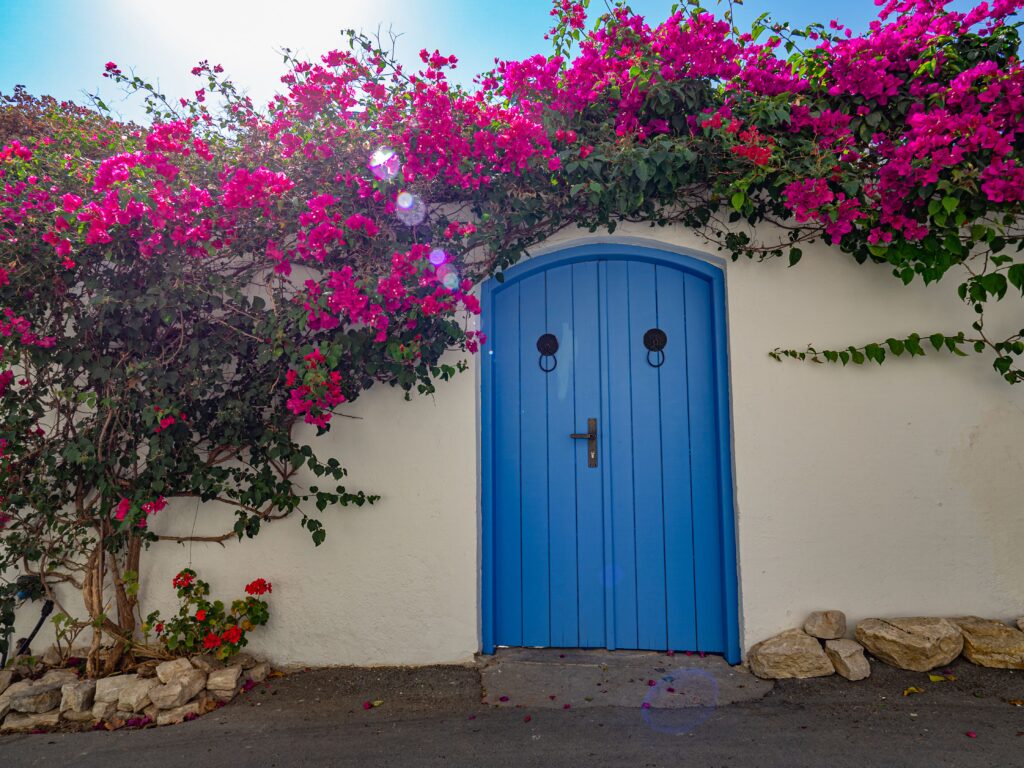 blue_wooden_doors_in_cyprus